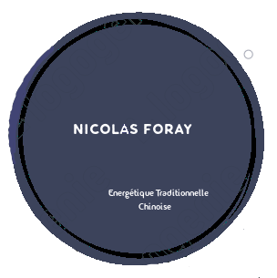 Nicolas Foray